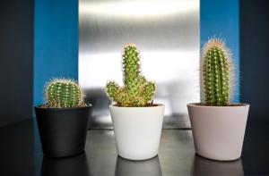 Appartements Le Golden - Centre Ville - Acces Transports en Commun - Balcon Cosy - Commerces a Proximite : photos des chambres