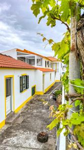 eSense - Cabo Branco