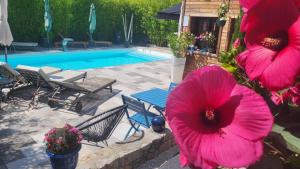 Le Mas ROLLAND, Piscine chauffée & SPA - Millau - Gorges du Tarn