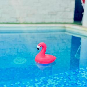 Casa de Playa en Antón Lizardo con alberca privada y club Playa