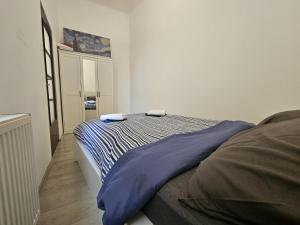 Ultra Central Apartament PMV