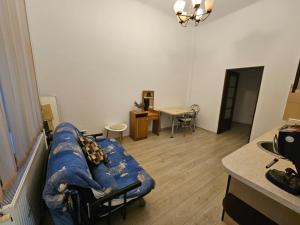 Ultra Central Apartament PMV