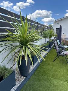 Villa familiale & plongeons