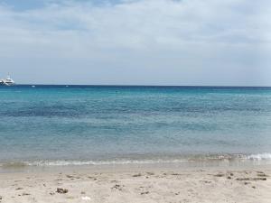 Appartements Appt neuf 2-4 pers avec loggia - Piscine chauffee - Bord de mer - Corse du Sud- Bonifacio : photos des chambres