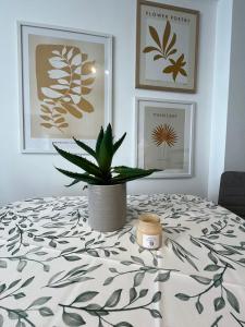 Apartament Arkadia 2