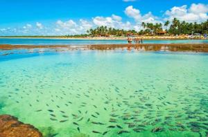 Makia Beach Porto Galinhas 223