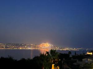 Appartements Riviera Azur sea view, swimming pool, jacuzzi : photos des chambres