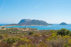 Splendido Appartamento B6 img18