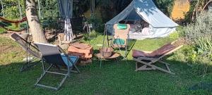 Camp, tent jurta for 4 guests, Ljubljana, shared bathroom and outdoor kitchen
