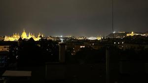 Breathtaking View! 2BR-2BA, BEST for the firework