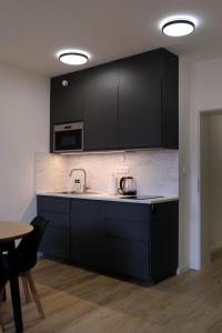 Modern apartment in Zizkov 10 min from Wenceslav Square