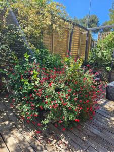 Appartements Circuit Paul Ricard Chalet au Castellet : photos des chambres