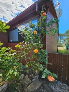 Circuit Paul Ricard Chalet au Castellet