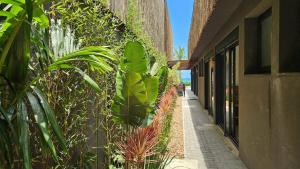 Refúgio do Pôr do Sol Camburí 2