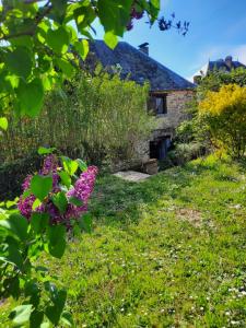Maisons de vacances Ludo-gite Le Petit Peuple : photos des chambres