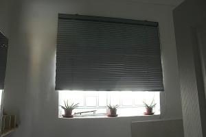 Self-catering Homes, House 1