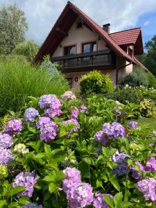 Lawendowa Przystań - dom nad rzeką - Brenna, 10 osób, sauna, balia z jacuzzi, ogród