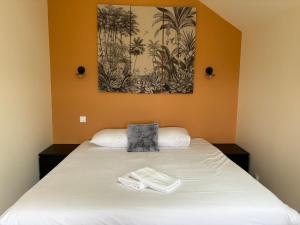Maisons de vacances Chez Gisele, 15 min Chambord, Cheverny, 30 min Beauval : photos des chambres