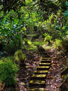 Finca Luna Nueva Lodge