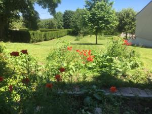 Appartements Appartement T3 dans pavillon avec terrasse et jardin : photos des chambres