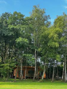 Holiday House Nature