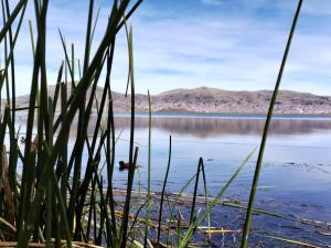 Los Uros Alojamiento