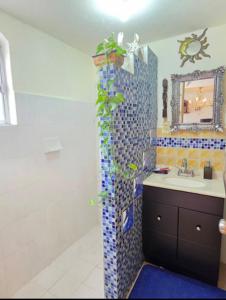 New Bamboo Noche en el Museo