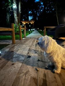 Maisons de vacances Le relais du Chateau : photos des chambres