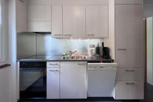 Classic Swiss Mountain Panorama