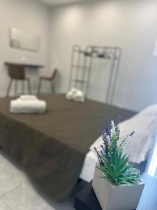 Dimora Vittorio Emanuele 392