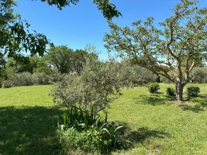 Villas Maison avec jardin : photos des chambres