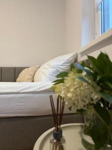 Zator Domki Dreampark