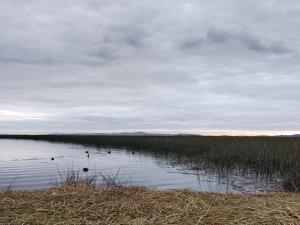 Titicaca Jutma Lodge