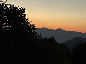 Welcome to Tamara Cottage