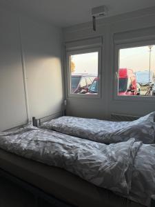 Fun Like Hel Kite&Wind