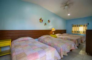 New Bamboo Quinta Maravilla