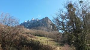 Appartements Pyrenees,Hiking, Cycling, Rafting,Fishing,4 Bed Apartment, Roof Terrace : photos des chambres