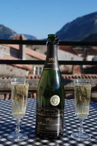 Appartements Pyrenees,Hiking, Cycling, Rafting,Fishing,4 Bed Apartment, Roof Terrace : photos des chambres