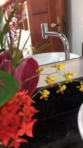 Conchas e Corais Suítes