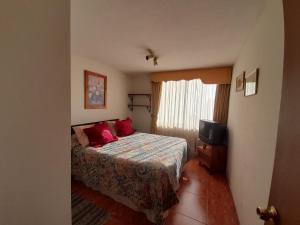 Departamento Sector Hospital Clínico UC, Posta Central, Universidades