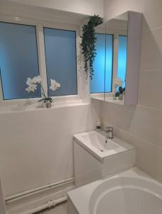 Three Bedroom Apartment