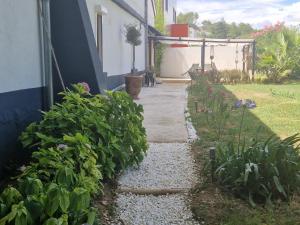 Appartements Apartment with swimming pool, wifi : photos des chambres