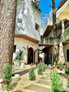 December Homestay & Coffee Măng Đen - only Vietnamese Guest