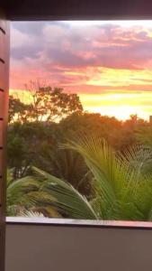 Conchas e Corais Suítes