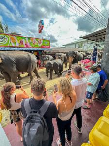 Elepath Lodge Pinnawala