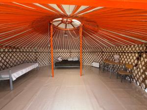 Deep Mongolia