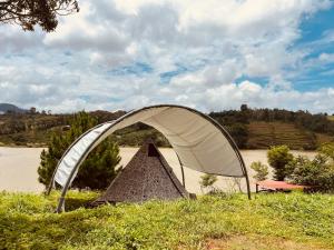 Higg Farm Resort & Glamping