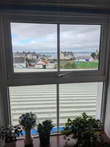 Studio flat - An Bonnan Bui