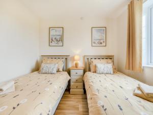 Chestnut - Uk47375