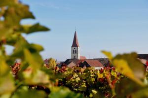 Maisons de vacances Gite du Vignoble : photos des chambres